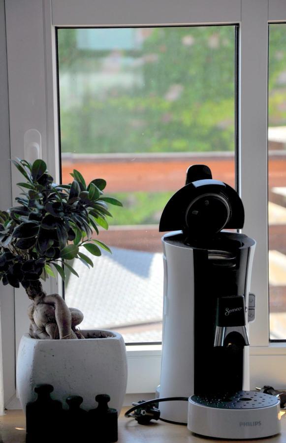 Gemuetliche Dachwohnung Mit Kleiner Oder Grosser Dachterrasse Nebeneinander Wolmirstedt Luaran gambar